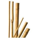 5 tuteurs naturels en bambou de qualite - h120 x Ø10 - 12mm cis 5 tuteurs naturels en bambou de qualite - h120 x Ø10 - 12mm cis