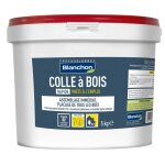 Blanchon - colle vinylique � bois d2 rapide - contenance : 5 kg - couleur : translucide