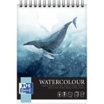 Bloc aquarelle a4 / 10k oxf art 300g 400167561 a'5