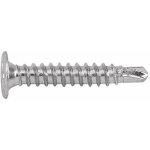 Boite de 500 - vis autoperceuse filet�es � t�le et pvc - t�te extra plate - empreinte ph - inox a2 4, ...