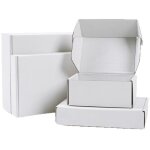 Boîte en carton 25 x 20 x 7 cm , boîte de transport blanche Boîte en carton 25 x 20 x 7 cm , boîte de transport blanche