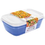 Boîte de congélation « fresh & frozen » lot de 3 translucide bleu / blanc Boîte de congélation « fresh & frozen » lot de 3 translucide bleu / blanc
