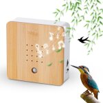Bo�te � sons naturels pour chants d'oiseaux, bo�te � d�tecteur de mouvement avec trou de suspension � ...