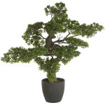 Pegane - bonsai artificiel g�ant avec pot en plastique / ciment - dim : h 80 x l 80 x p 60 cm