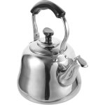 Bouilloire  sifflet en acier inoxydable avec filtre