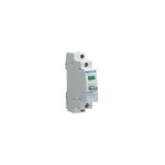 Bouton poussoir avec voyant vert 1na 16a 250 v maximum 1, 2 w. svn411 - hager