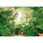 A. s. creations - papier peint panoramique trompe l'oeil fenêtre jardin d'hiver | tapisserie panoramique ... A. s. creations - papier peint panoramique trompe l'oeil fenêtre jardin d'hiver | tapisserie panoramique ...