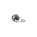 Briggs&stratton - 398811 - bobine d'allumage pour moteur briggs et stratton (ex 393993 et 394963) Briggs&stratton - 398811 - bobine d'allumage pour moteur briggs et stratton (ex 393993 et 394963)