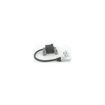 Briggs&stratton - 590455 - bobine d'allumage pour moteur briggs et stratton Briggs&stratton - 590455 - bobine d'allumage pour moteur briggs et stratton