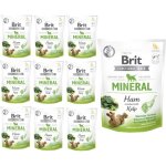 Brit care functional snack puppy mineral jambon algues 150 g b11423