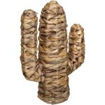 Dcoration cactus en jacinthe marron, hauteur 35 cm, collection hacienda, livraison gratuite