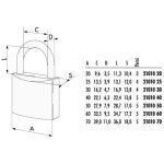 Cadenas en laiton 30 mm 21010 cisa ll