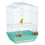 Cage a oiseaux avec perchoirs