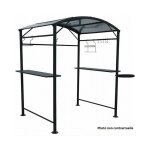 Foresta - carport barbecue habrita car1713ac 250x135x224cm acier gris anthracite