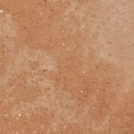 Carrelage terre cuite floreo marron clair 25x25 cm Carrelage terre cuite floreo marron clair 25x25 cm