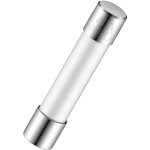 Cartouche fusible rs pro 10a, 6. 35 x 31. 75mm, type t, 250v c. a.