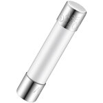 Cartouche fusible rs pro 8a, 6. 35 x 31. 75mm, type f, 250v c. a.