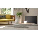 Cayenne - carrera panneau rayonnant en verre noir lcd 2000w - noir