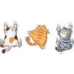 Ccykxa autocollants de voiture - lot de 3 autocollants amusants en vinyle pour voitures - motif chat ...