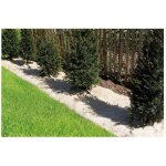 Chanvrelin 500 - 0, 5x3m paillage naturel