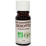 Ceven aromes - huile essentielle eucalyptus globulus bio 10ml