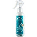 Spray lady cologne ladybel