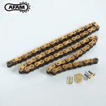 Cha�ne de transmission afam pour auto 50 a420r1 - g / 76 maillons