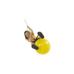 Chalet&jardin - ballon boue - agrs pour portique