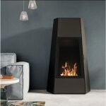 Chemin�e au sol au bio�thanol avec porte ruby shanghai puissance 3kw