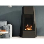 Chemin�e au sol au bio�thanol avec porte ruby shanghai puissance 3kw