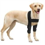 Chien genouill�re chien jambe pad chien coude �pauli�re coude ecz�ma, dysplasie, arthrose respirant noir ...