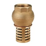 Clapet anti - retour - clapet cr�pine laiton 2''