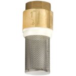 Clapet anti - retour en laiton 1 / 2 pouce avec crépine d'aspiration Clapet anti - retour en laiton 1 / 2 pouce avec crépine d'aspiration
