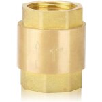 Clapet anti - retour en laiton, clapet anti - retour d'entr�e et de sortie filet� 1 , adapt� aux pompes, ...