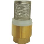 Clapet crpine universel femelle 3 / 4  axe plastique
