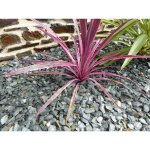 Paillage ardoise gris 10 - 30 pack 5 m� - 12 sacs - 300 kg