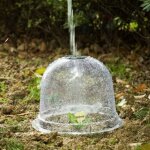 Cloche de for�age transparente pour semis ? protection de plante a�r�e pour jardinage