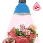 Cloche led 30w spcial boucherie - bleu