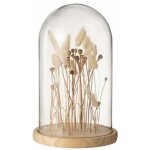 Cloche en verre dco  fleurs sches  38cm cru