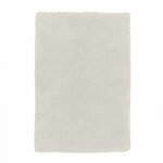 Thedecofactory - cocoon - tapis salon � poils longs extra - doux �cru 60x90