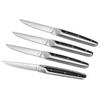 Coffret de 4 couteaux  steak amefa 2540aamb02br4