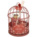 Coffret cadeau merveilleuse cage d14cm atmosphera crateur d'intrieur