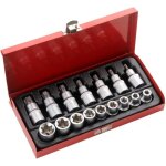 Coffret de douilles �toile 16 pi�ces avec coffret de rangement en acier vanadium e10 - e24 t30 - t70