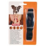 Zolux - collier anti aboiement petit chien Zolux - collier anti aboiement petit chien