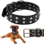 Collier chien clout� cuir eco r�glable l