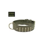 Morin - collier chien en cuir clout nickel cousu double. dsignation : collier cuir clout nickel ...