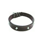 Inferramenta - collier pour chien en cuir doubla de clous largeur 30 mm longueur 55 cm colliers