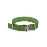 Collier pour chien en nylon mod. phoenix rembourré avec boucle - taille s couleur: vert Collier pour chien en nylon mod. phoenix rembourré avec boucle - taille s couleur: vert