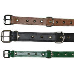 Collier pour chien w / c 50