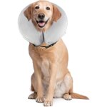 Litzee - collier gonflable de rcupration confortable collerette de protection pour chien chats, ajustable, ...